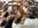 Exotic Tricolor Cowhide Rug , Size: Large(L), Code: AW136