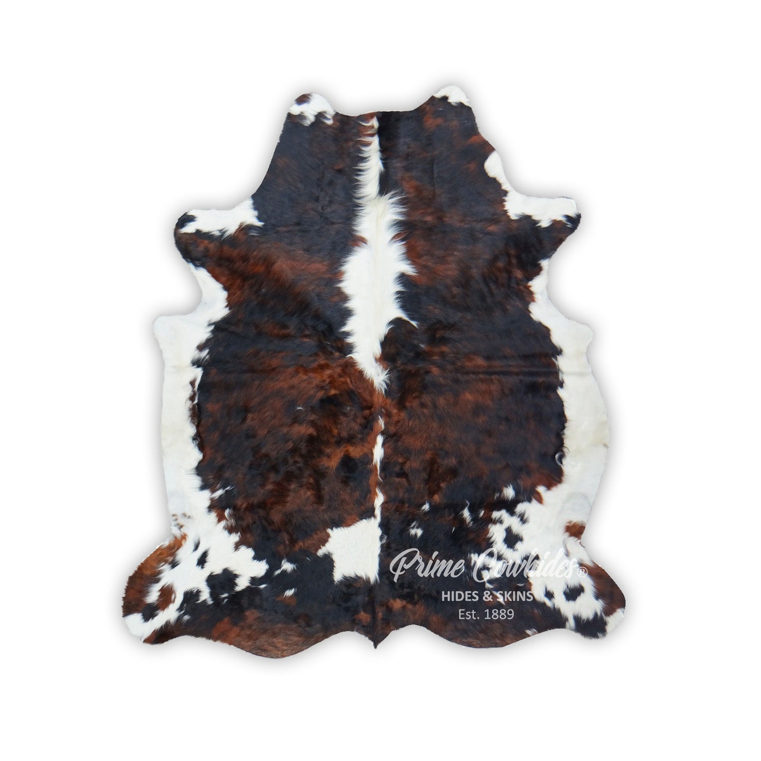 Premium Tricolor Cowhide Rug Size 6.10 FT x 7.3 FT — Luxury Cowhides